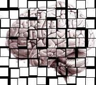 Grafik: ein Gehirn, das in viele kleine Quadrate zerfällt